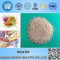 Skin Gelatin for Food Additive